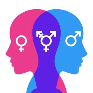 Identità di genere e orientamento sessuale. tutto quello che c'è da sapere spiegato dagli esperti