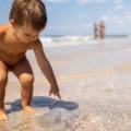 Le punture di meduse sui bambini sono un pericolo reale anche nei nostri mari e sulle nostre spiagge. Ecco cosa fare, e soprattutto cosa evitare, in caso il bambino venga punto da una medusa.