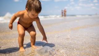 Le punture di meduse sui bambini sono un pericolo reale anche nei nostri mari e sulle nostre spiagge. Ecco cosa fare, e soprattutto cosa evitare, in caso il bambino venga punto da una medusa.