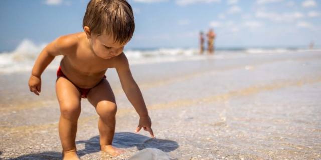 Puntura di medusa: come soccorrere i bambini e cosa non fare