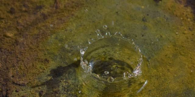 Colera: cos’è, sintomi, cura e come prevenire la malattia infettiva