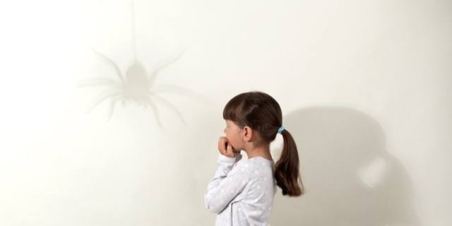 Puntura di ragno: violino, tarantola o malmignatta. Cosa fare? Sintomi e rimedi