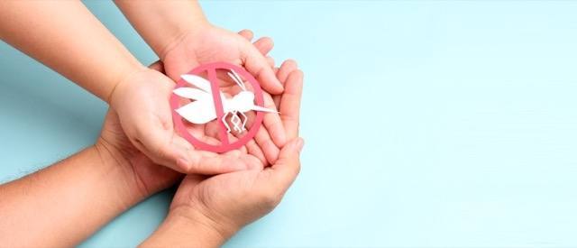 Dengue nei bambini: sintomi, cure, vaccino