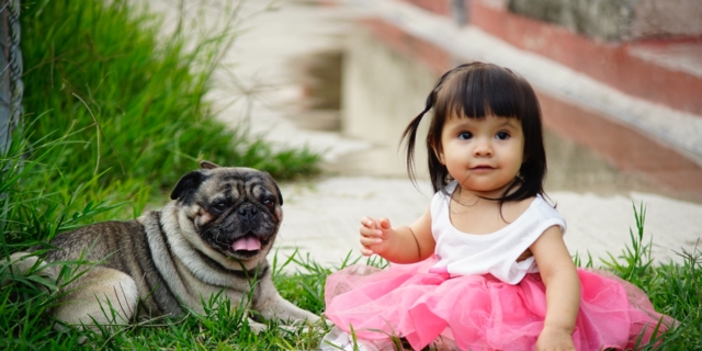 Bambini e cani, 9 regole per una convivenza felice