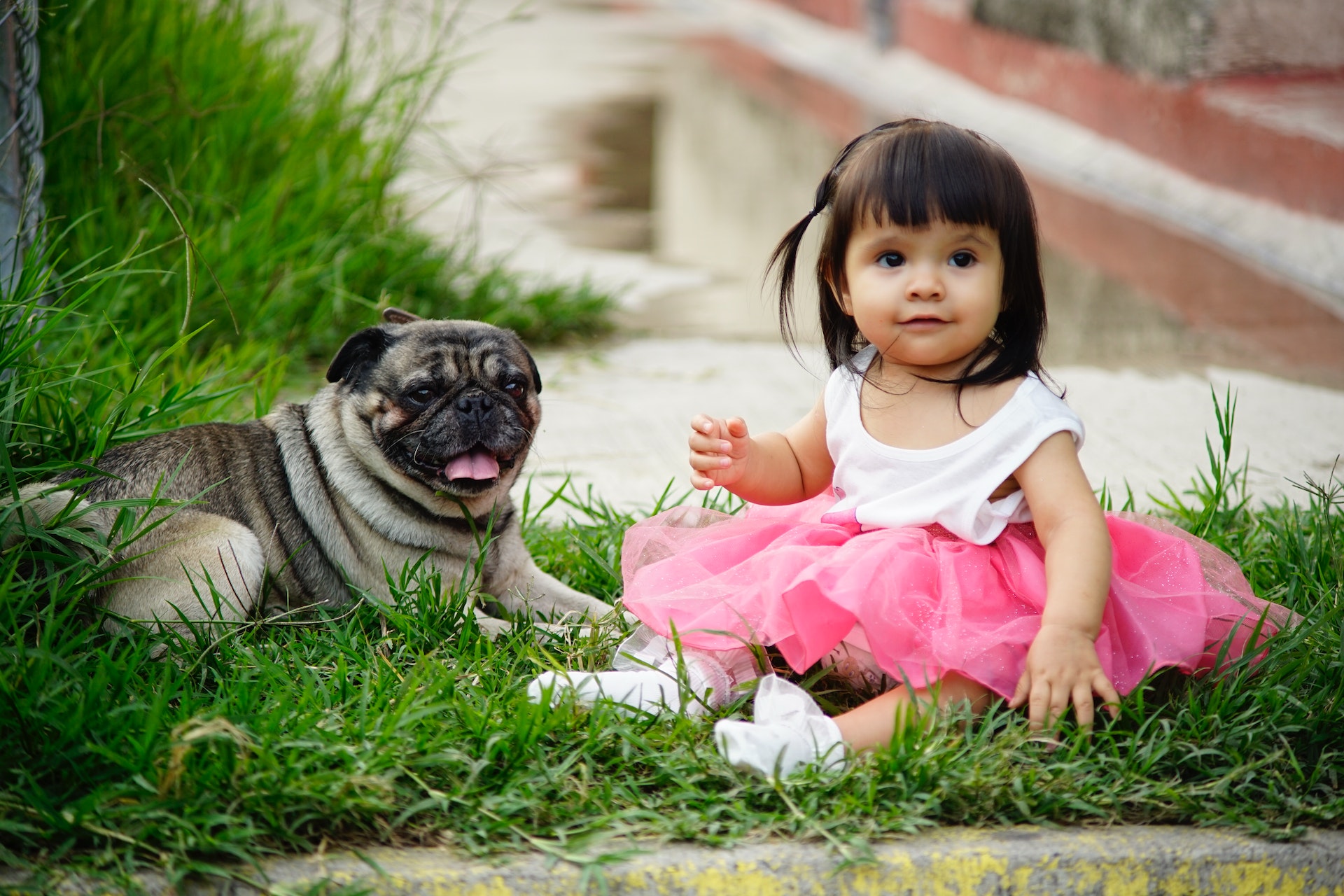 Bambini e cani, 9 regole per una convivenza felice - BimbiSanieBelli.it