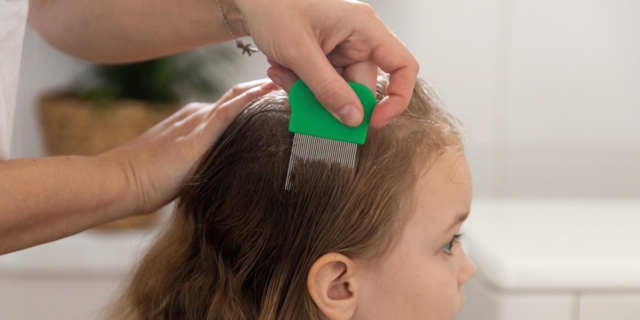 Pidocchi nei bambini: come riconoscerli ed eliminarli