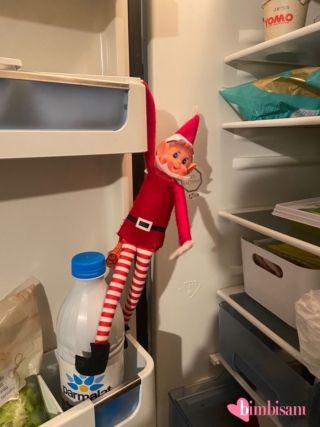 elfo sul frigo