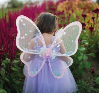 vestiti-carnevale-ali-fata-citta-del-sole