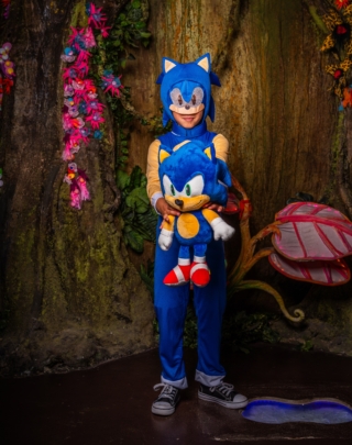 vestiti-carnevale-citta-del-sole-sonic