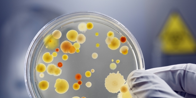 Bambina morta a Padova: la febbre alta ci deve far allarmare? I chiarimenti dell’esperto