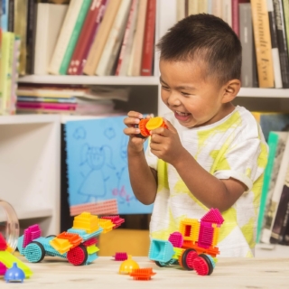 Battat Bristle Blocks – Costruzioni A Pettine Da 50 Pezzi | Valigetta Per Bambini | Giocattolo Creativo E Sicuro