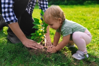 Father,And,His,Baby,Daughter,Planting,Tree,Together,In,Garden, Father,And,His,Baby,Daughter,Planting,Tree,Together,In,Garden,
