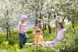 picnic di Pasqua picnic di Pasqua