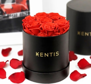 regali-festa-della-donna-kentis regali-festa-della-donna-kentis