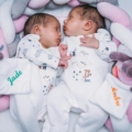 gemelli