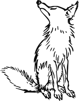 Disegni da colorare montagna 2