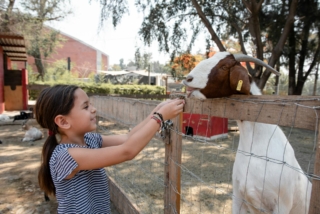 Agriturismi e cascine vicino a Milano