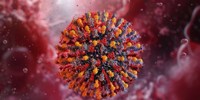 Virus Chandipura: l’epidemia tra i bambini in India, cause e sintomi