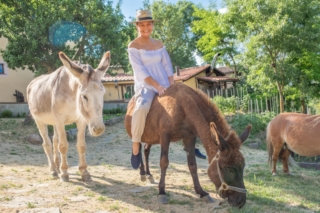 Agriturismo La Selvella Agriturismo La Selvella