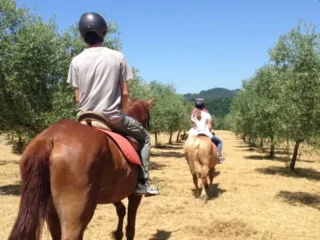 Agriturismo Orgiaglia Agriturismo Orgiaglia