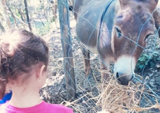 Biofattoria L’Upupa Biofattoria L’Upupa