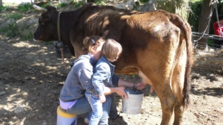 Podere La Piana Podere La Piana