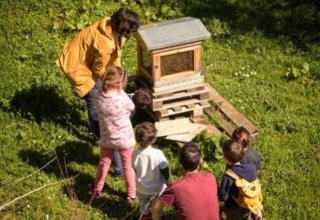 Fattoria di Maiano Fattoria di Maiano