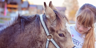 11 cascine e agriturismi con animali vicino Roma dove andare con i bambini