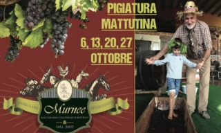 Agriturismo Murnee Agriturismo Murnee