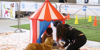 Torna Quattrozampeinfiera 2024, l’appuntamento imperdibile per bambini e pet