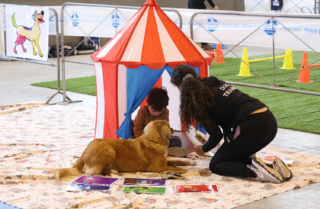 Torna Quattrozampeinfiera 2024, l’appuntamento imperdibile per bambini e pet