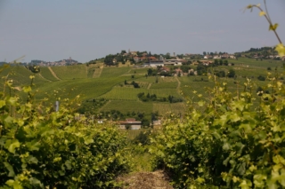 Azienda Agricola Calatroni Azienda Agricola Calatroni