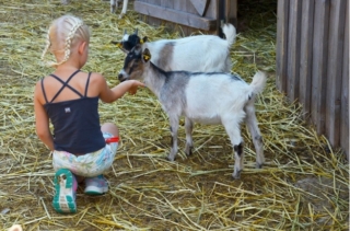 La Fattoria di Valentino La Fattoria di Valentino
