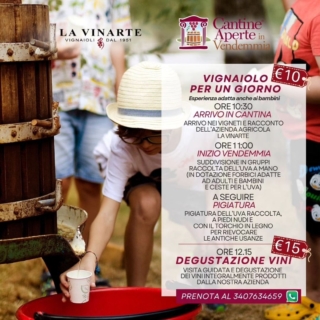 la-vinarte la-vinarte