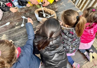 Nella Vecchia Fattoria Nella Vecchia Fattoria