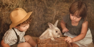 10 cascine e agriturismi con animali in Toscana dove andare con i bambini