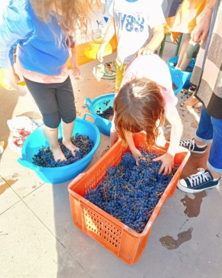 tenuta-bettozza tenuta-bettozza