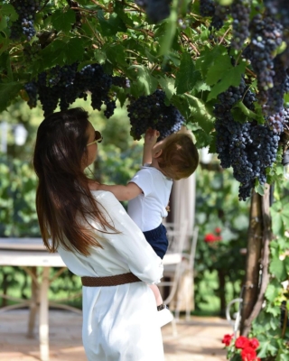 tenuta-torciano tenuta-torciano