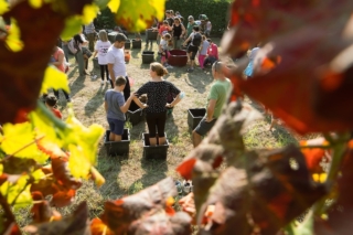 vendemmia-2026-fontanette vendemmia-2026-fontanette