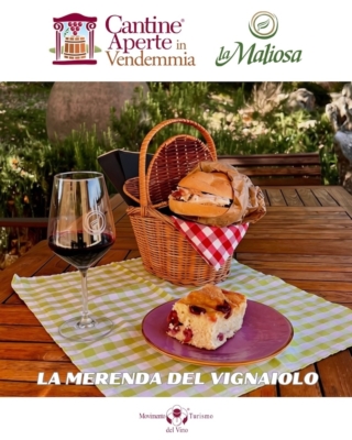 vendemmia-2026-la-maliosa vendemmia-2026-la-maliosa