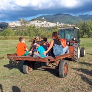 vendemmia-assisi vendemmia-assisi
