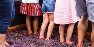 Bimbi nel bosco: se la scelta di un’infanzia bucolica lede i diritti inviolabili dei bambini