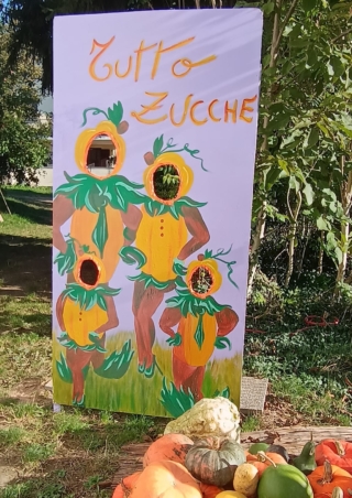 campi-zucche-andenzeno