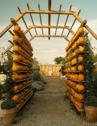 campi-zucche-campo-federica