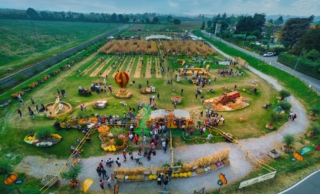 campi-zucche-flover-farm-bussolengo