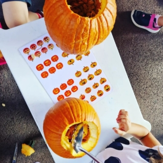 campi-zucche-ilboscodellemeraviglieferrara