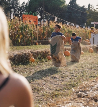 campi-zucche-ilgiardinodeicolori