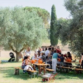 campi-zucche-torrimpietra