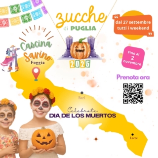 cascina-savino-foggia-campo-zucca