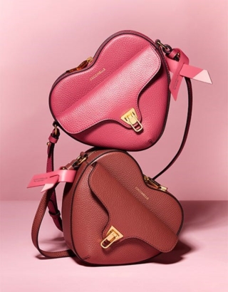 Coccinelle Coccinelle